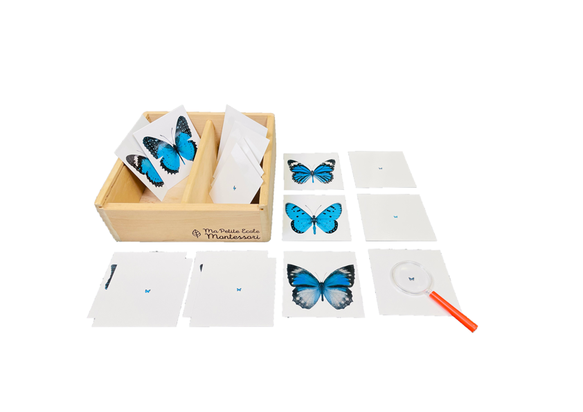 Butterflies and magnifying glass card box