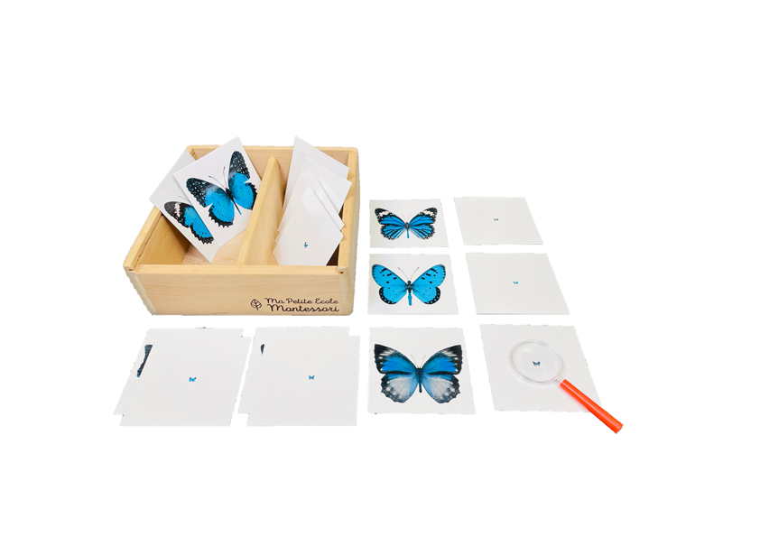 Coffret cartes les papillons et la loupe