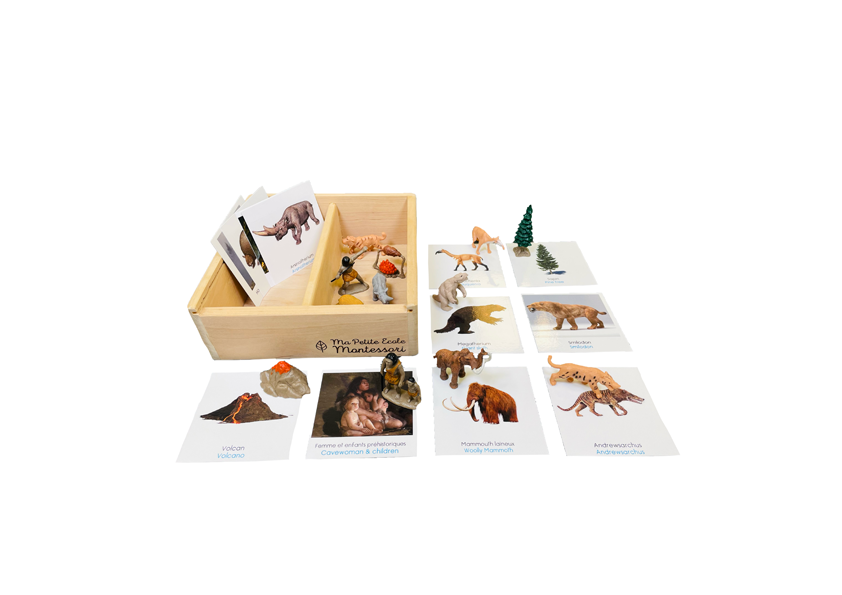 Prehistory figurines box