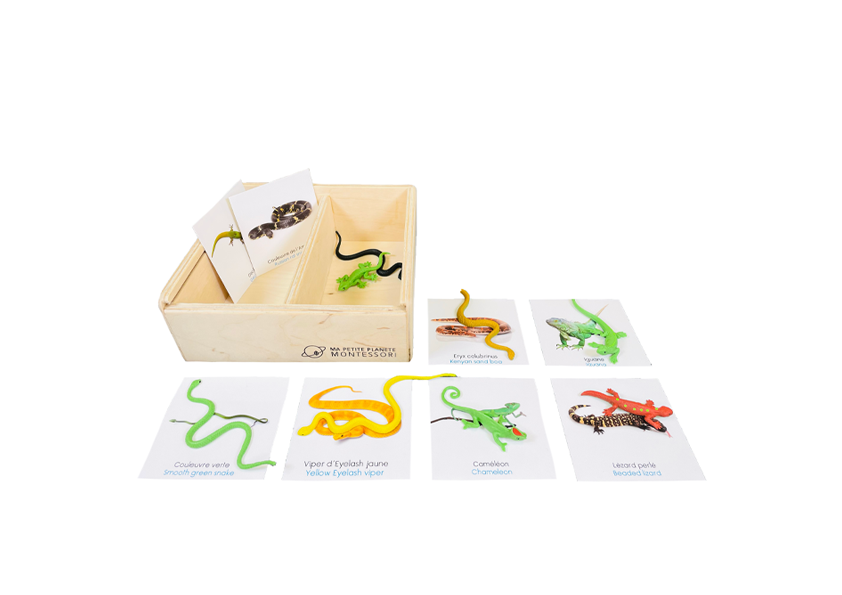 Coffret figurines les reptiles
