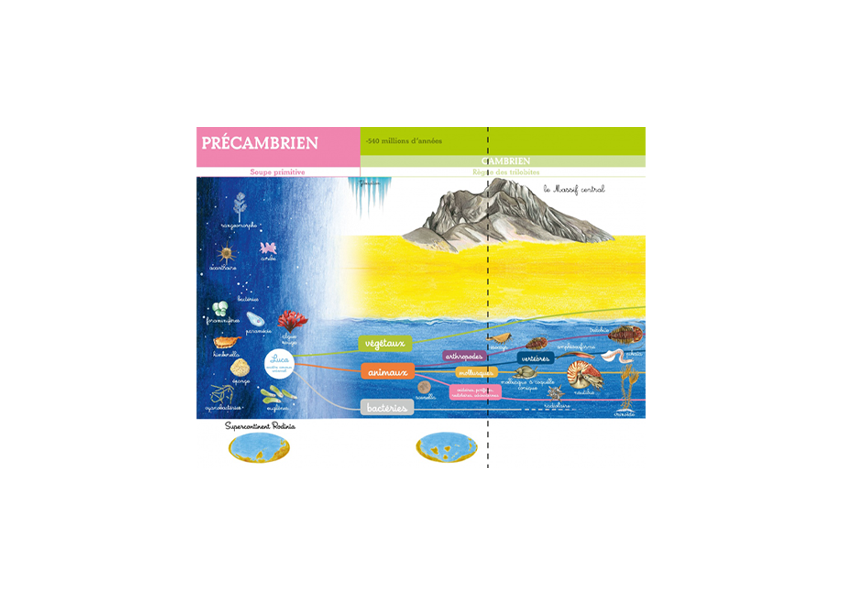 Ma ligne du temps Montessori - L'arrivée de la vie sur terre - Frise Montessori de 2,5 mètres