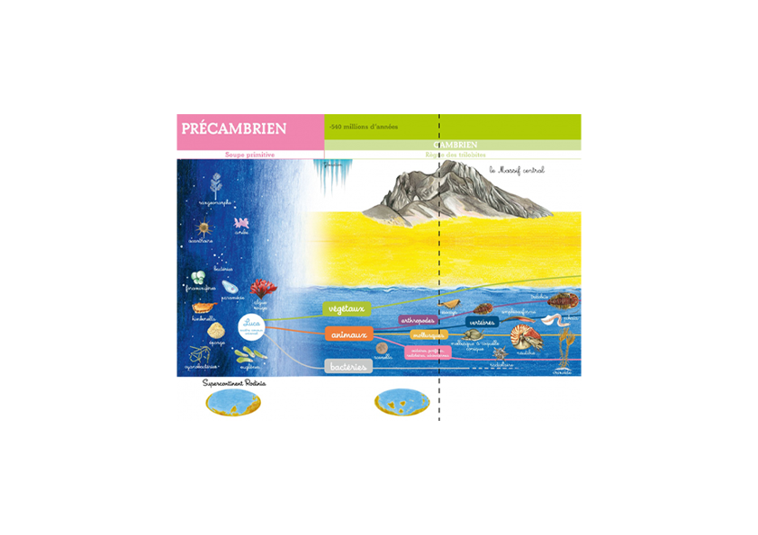 My Montessori Timeline - The Arrival of Life on Earth - 2.5 Meter Montessori Frieze