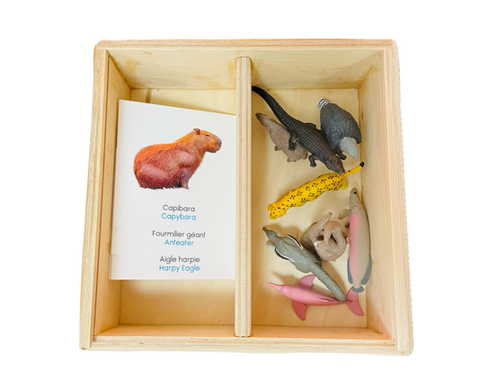 South American animals figurine box
