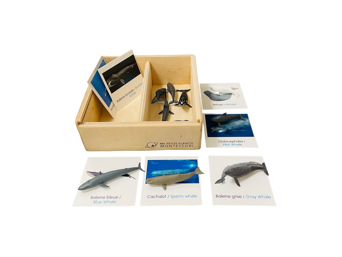 Whale figurine box