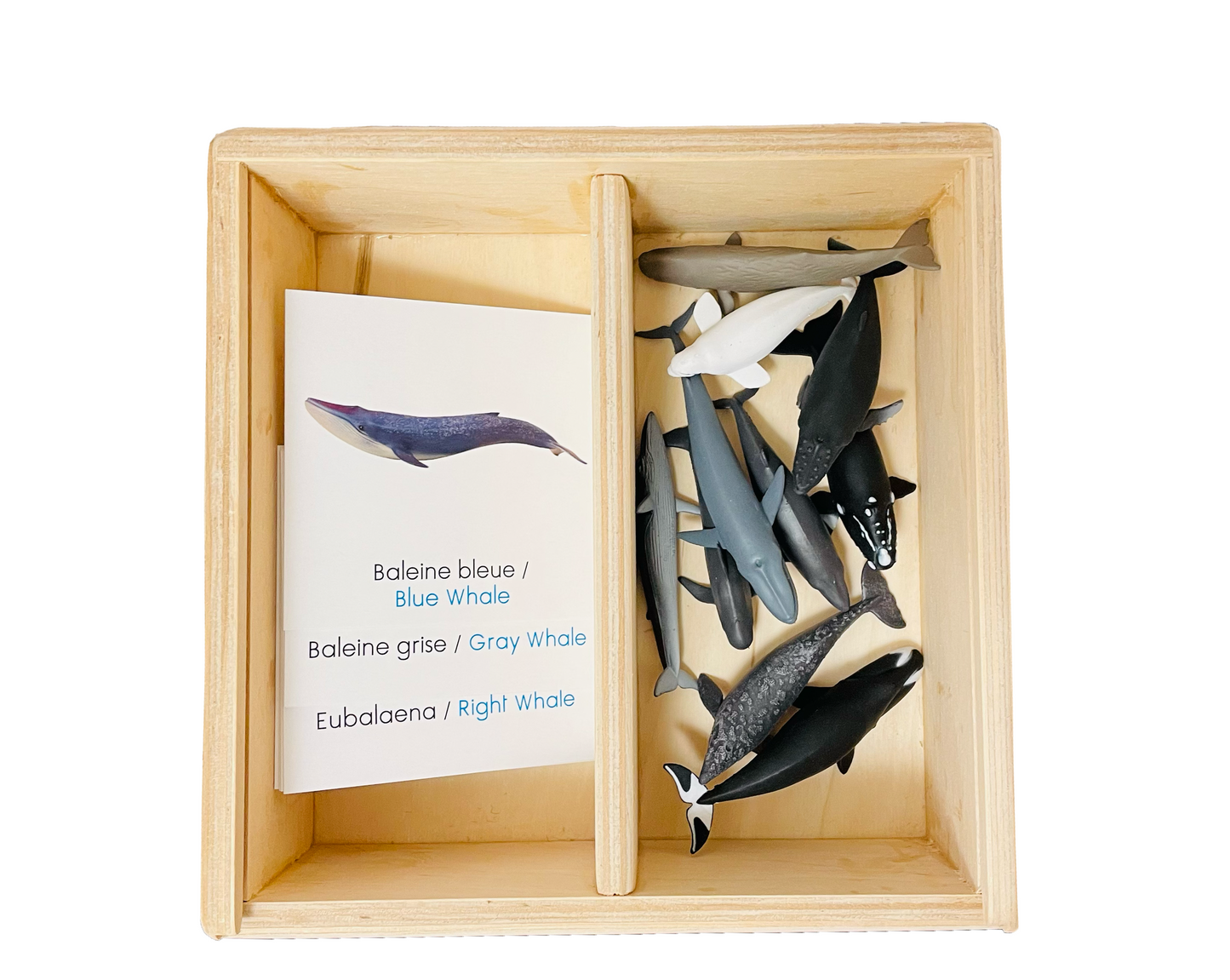 Whale figurine box