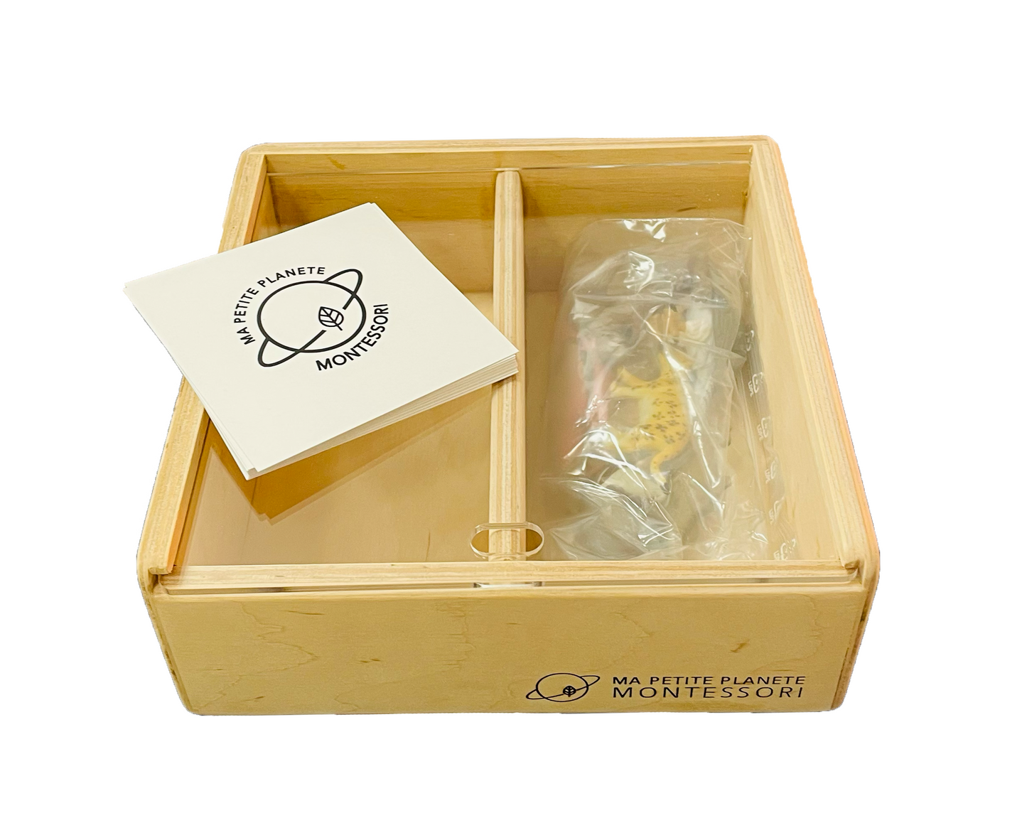 Earthworm life cycle figurines box