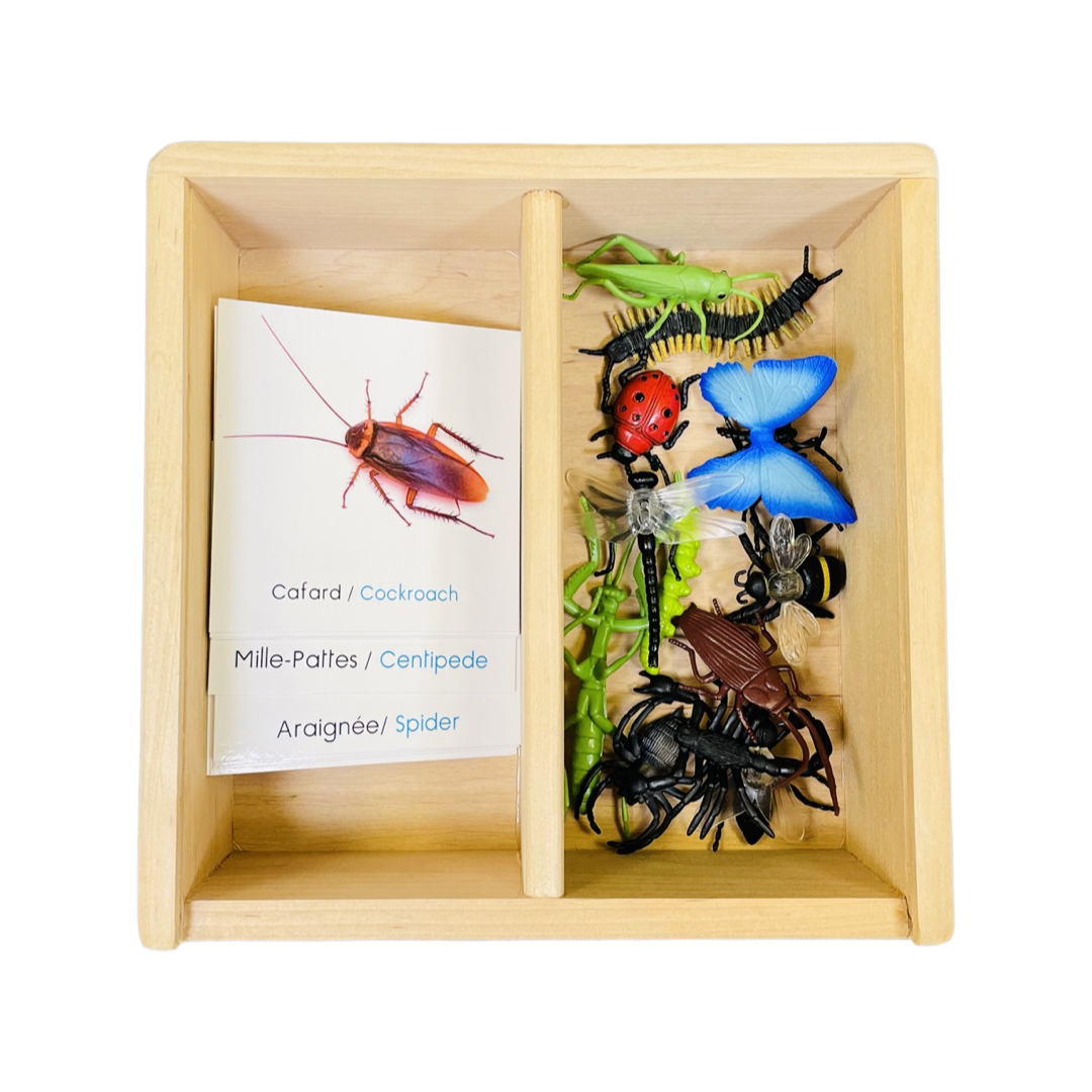 Box figurines insects