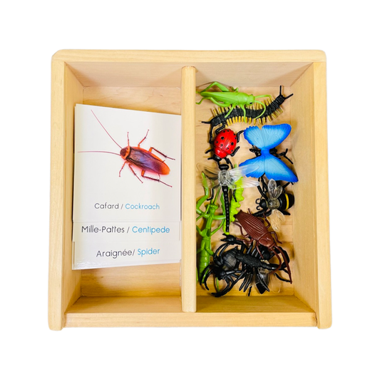 Boxfiguren Insekten