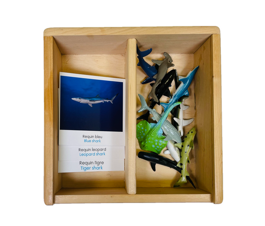Box figurines sharks