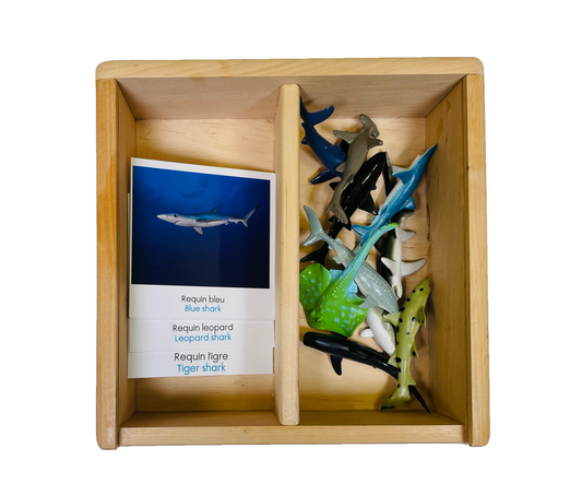 Coffret figurines les requins