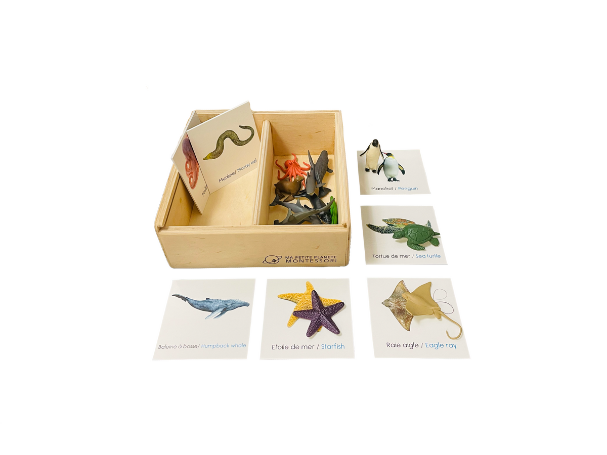 Lot de 100 mini figurines phosphorescentes en résine - Animaux marins - Pour décoration d'aquarium, jardin féérique - Créatures océaniques (4 styles de chiots phoques Lot de 100 mini figurines phosphorescentes en résine - Animaux marins - Pour décoration d'aquarium, jardin féérique - Créatures océaniques (4 styles de chiots phoques