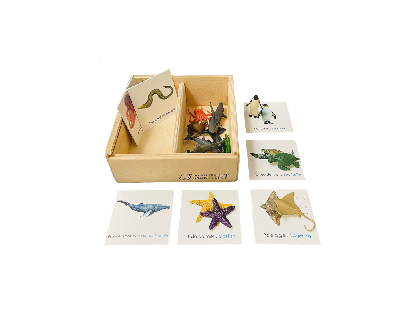 Set of figurines of ocean animals