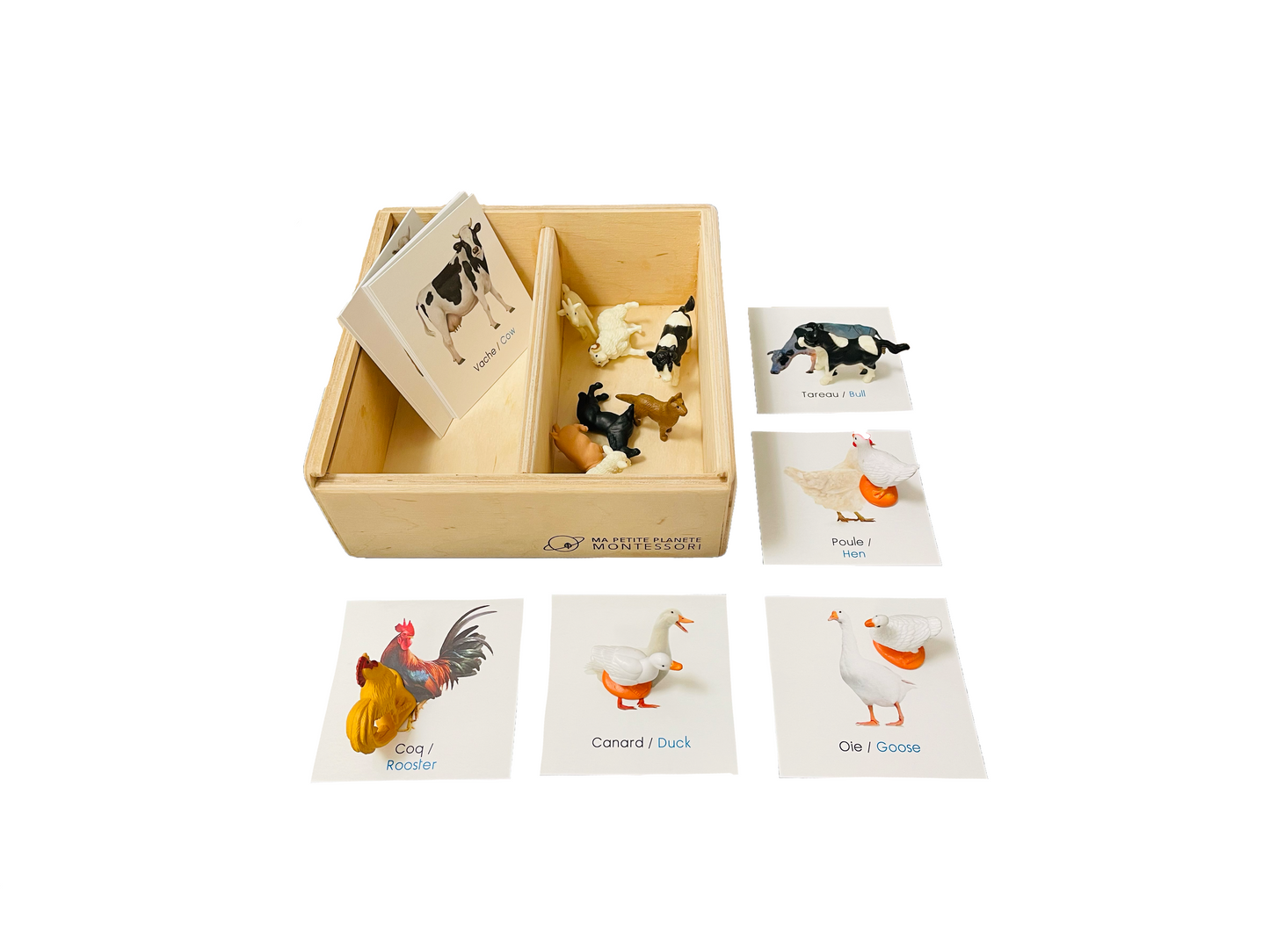 Box figurines pets