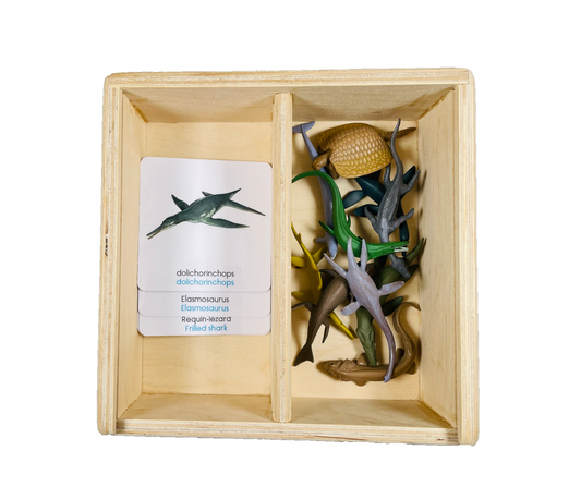 Prehistoric marine life figurine box