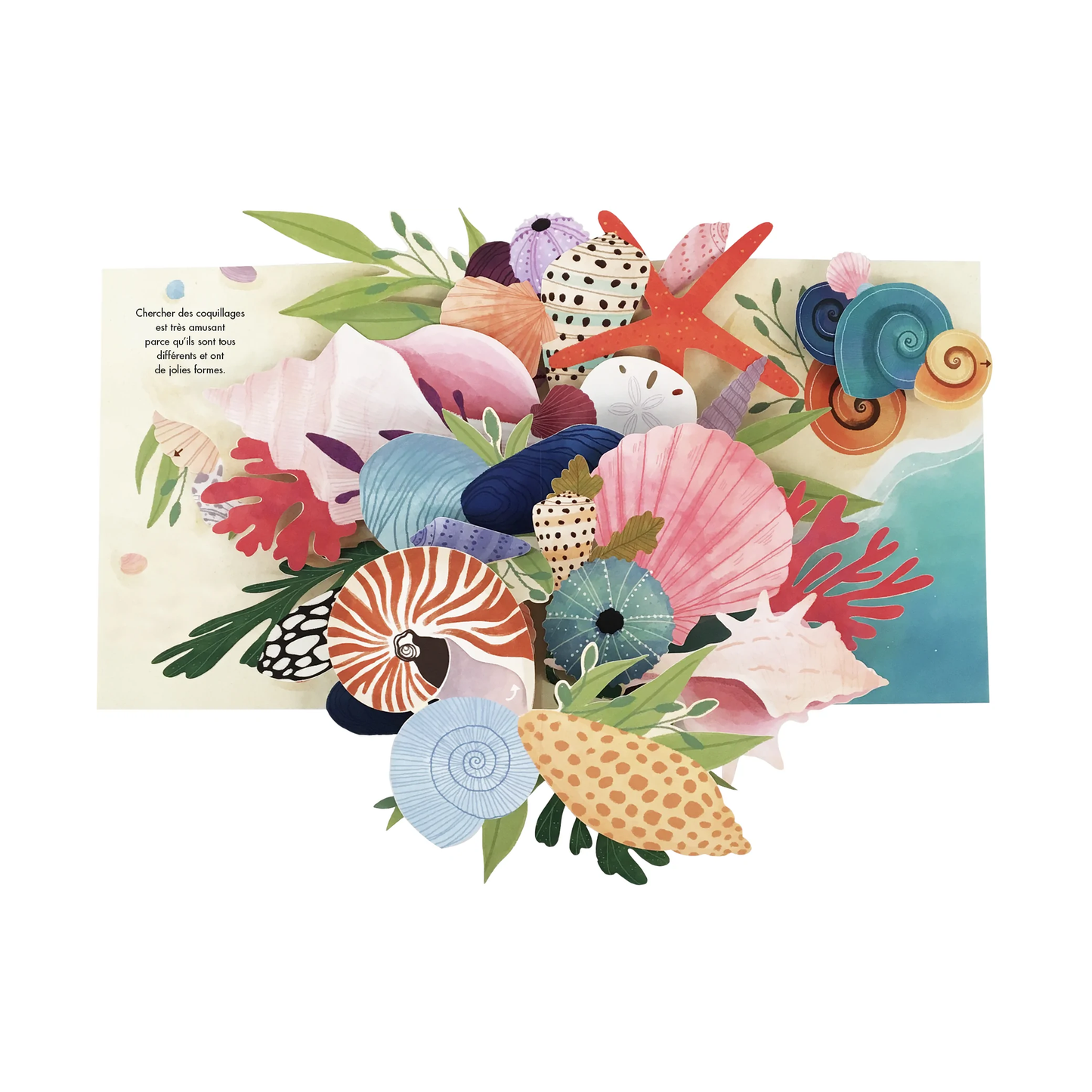 Treasures of the ocean - pop up book collection - Kimane
