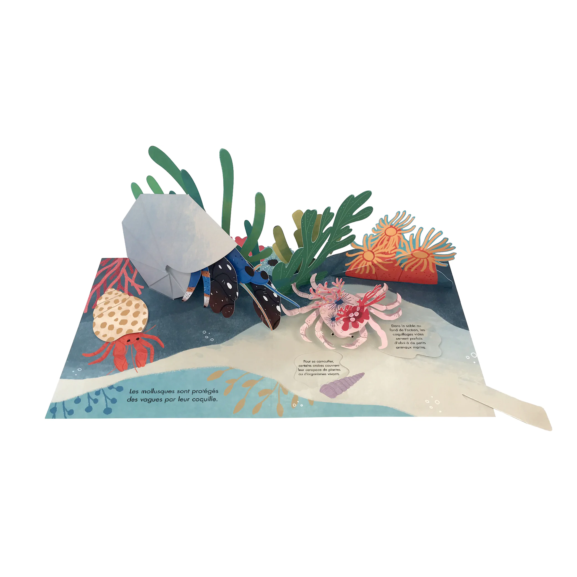 Trésors de l'océan - collection livre pop up -Kimane – Ma Petite Planète  Montessori