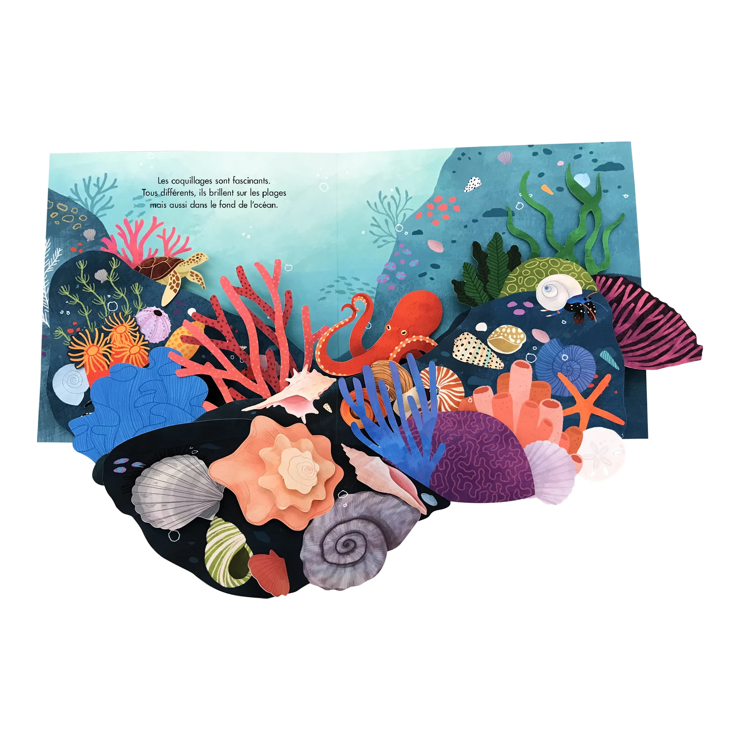 Trésors de l'océan - collection livre pop up -Kimane