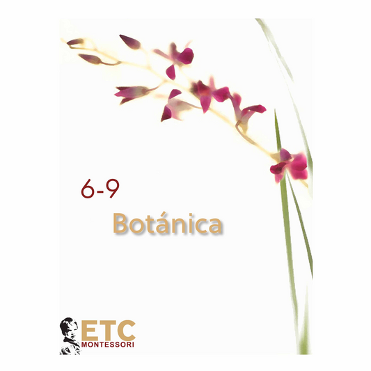 6-9 Botánica (anglais) - Nienhuis AMI