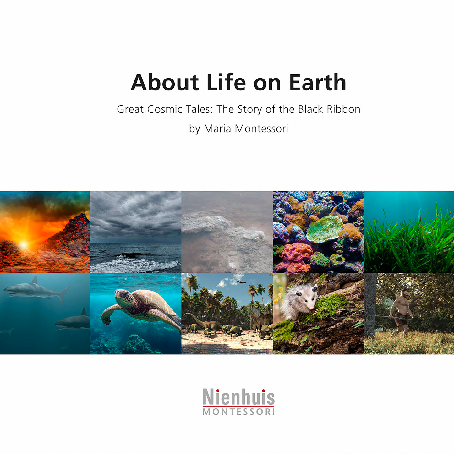 About Life On Earth (anglais) - Nienhuis AMI