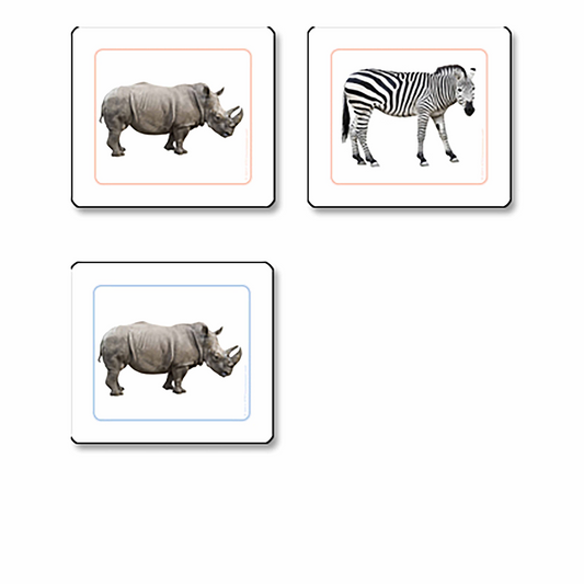 Cartes de correspondance des animaux africains (en anglais) - Nienhuis AMI