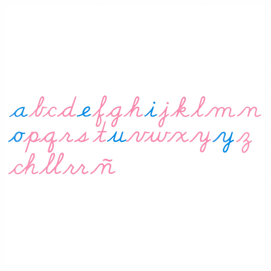 Large movable alphabet: American cursive - Nienhuis AMI