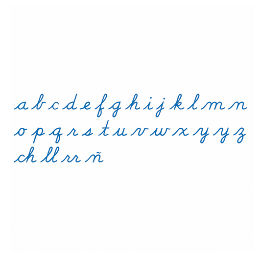 Mittelgroßes bewegliches Alphabet: US-Kursivschrift – Nienhuis AMI