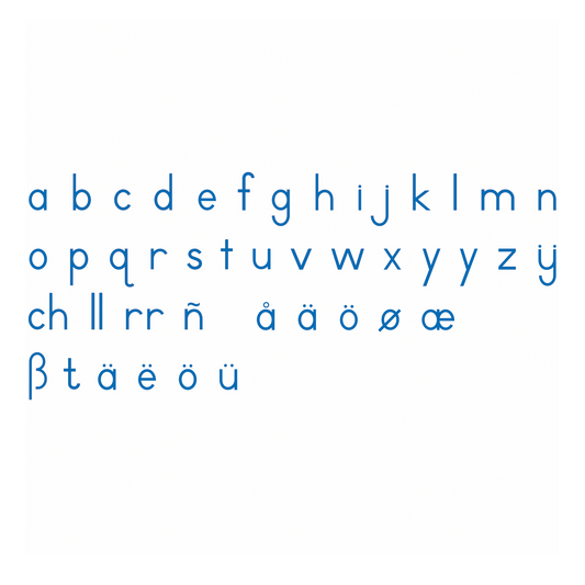 Mittelgroßes bewegliches Alphabet: Internationale Schrift – Blau – Nienhuis AMI
