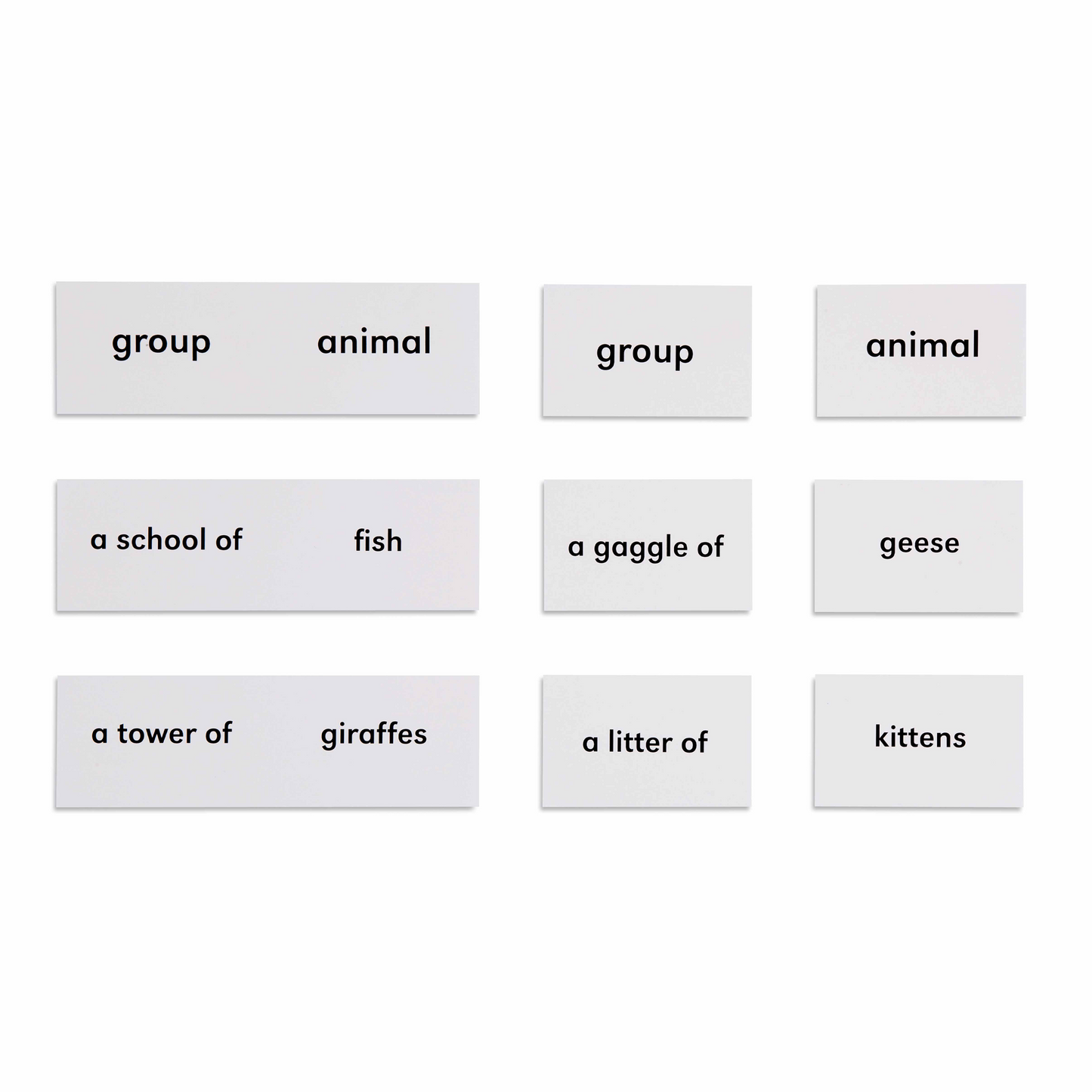 Les animaux et leurs groupes (en anglais) - Nienhuis AMI