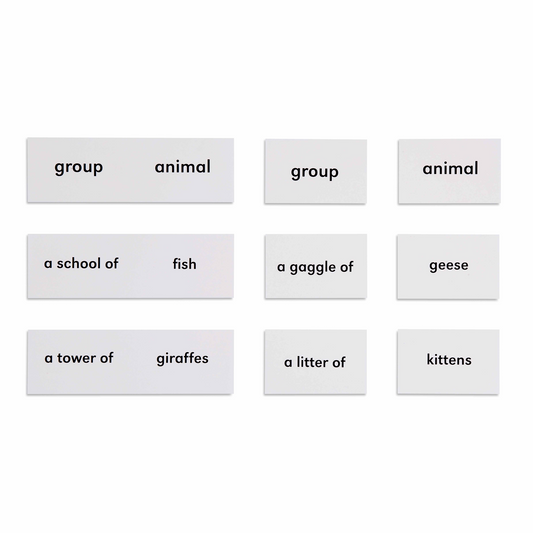 Animals and their groups - Nienhuis AMI