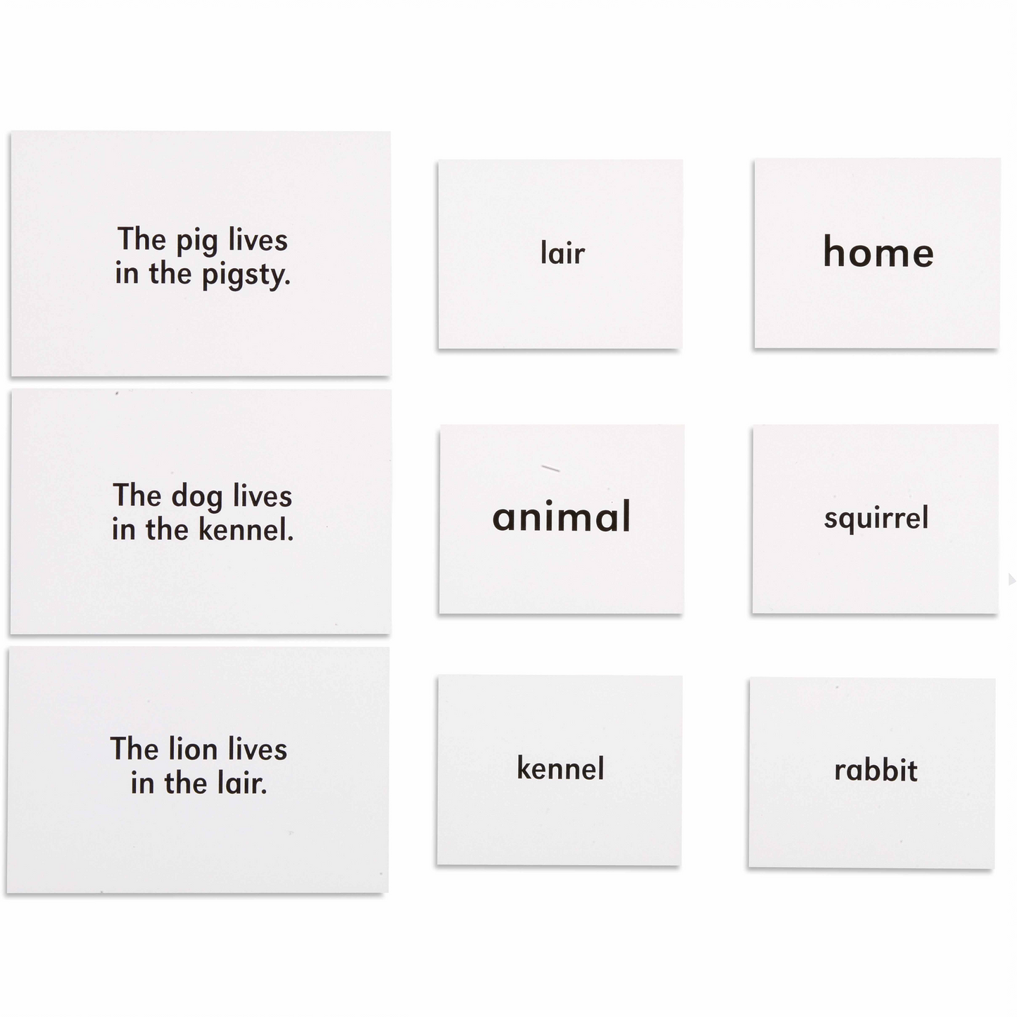 Animals and their homes - Nienhuis AMI