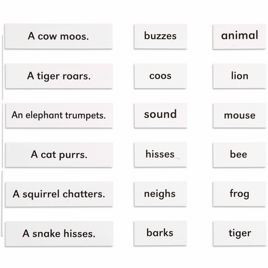 Animals and their sounds - Nienhuis AMI