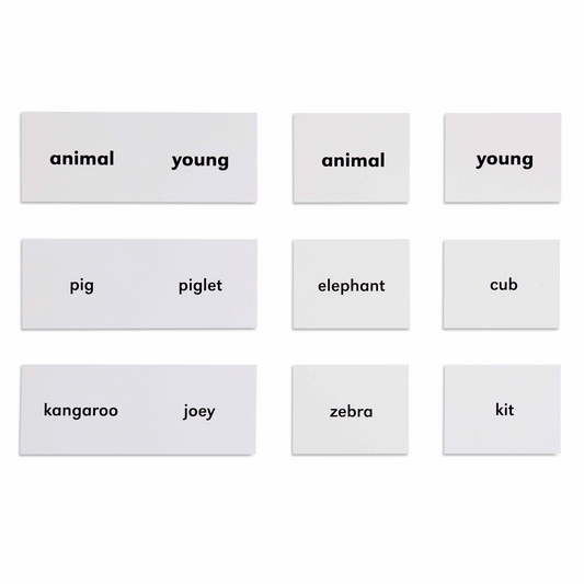 Animals and their young (in English) - Nienhuis AMI