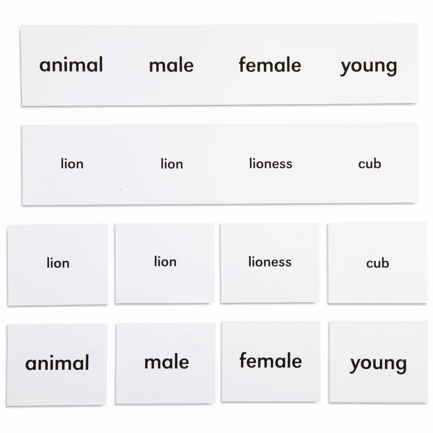 Noms des animaux (en anglais) - Nienhuis AMI