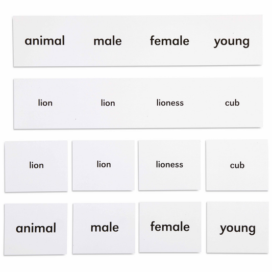 Animal names (in English) - Nienhuis AMI