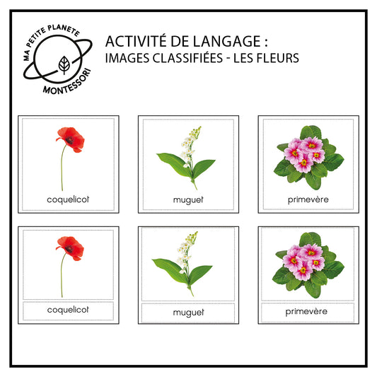 Montessori-klassifizierte Bilder - Blumen