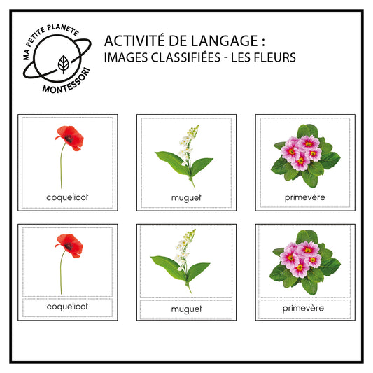 Images classifiées Montessori - Les fleurs