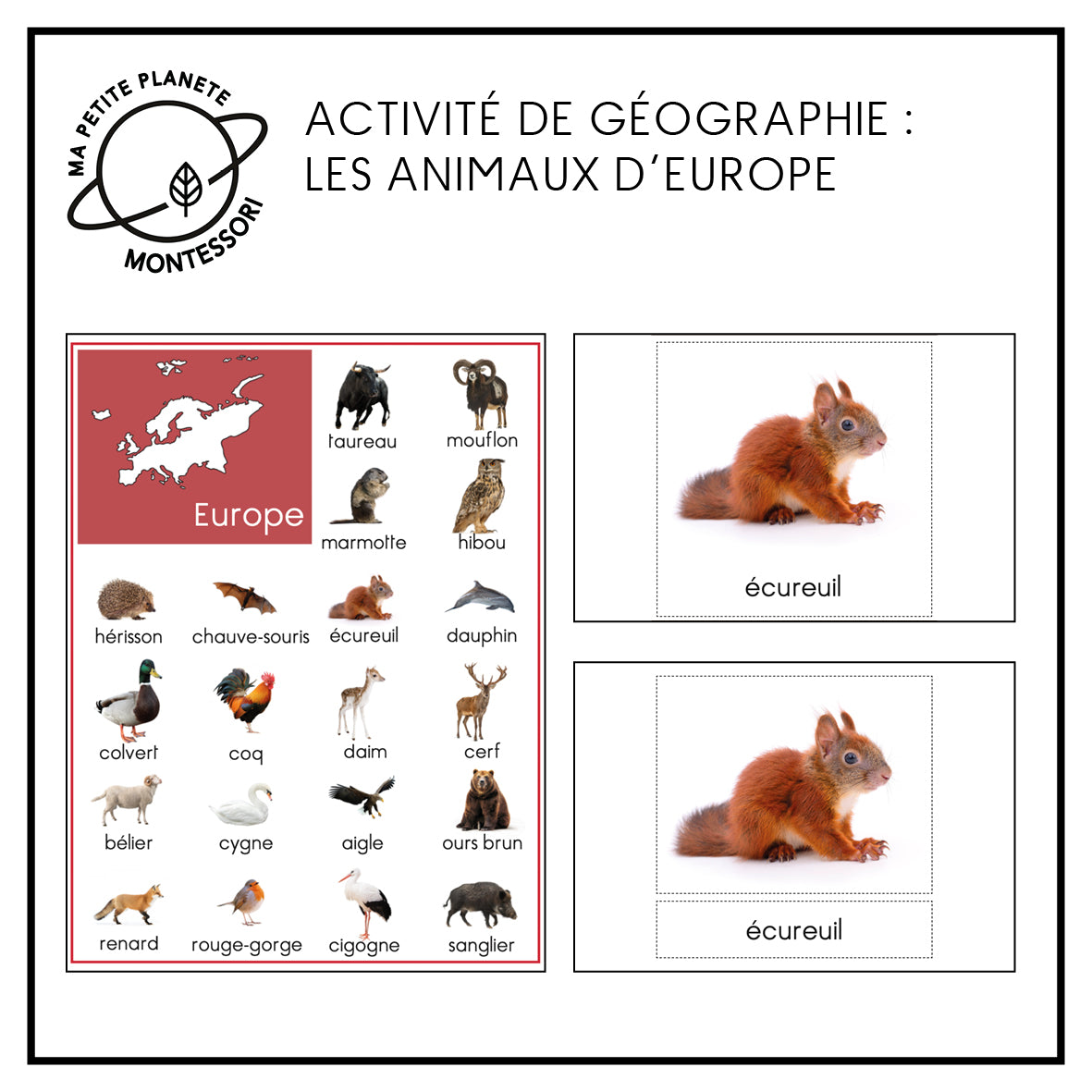 Les animaux d'Europe