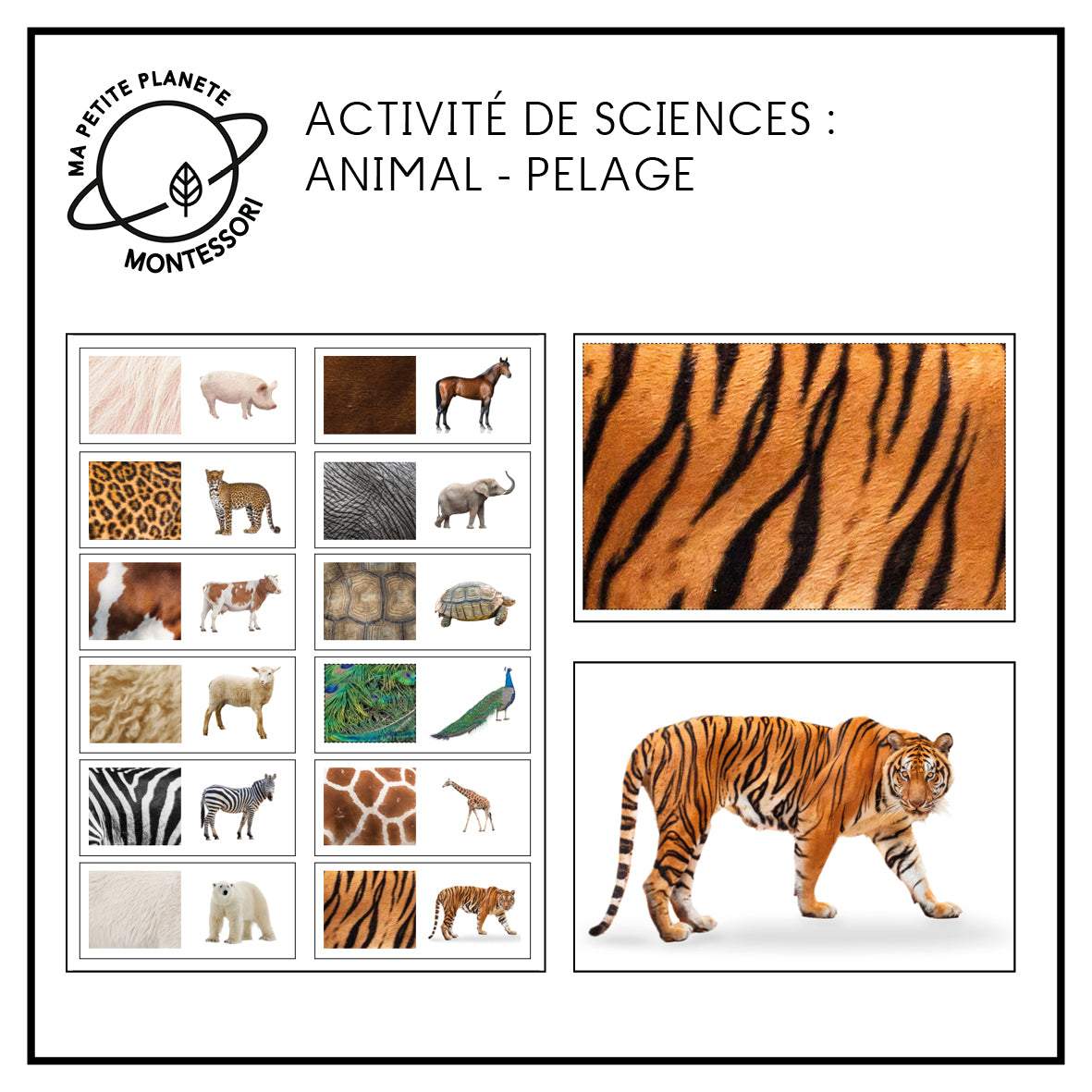 Association : Animal - Pelage