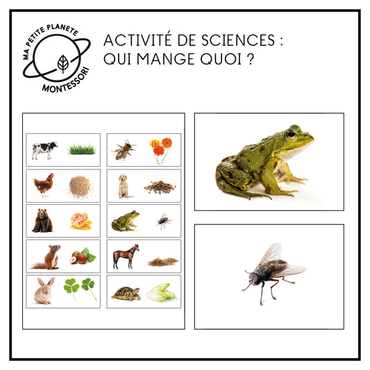 Portée musicale pour clochettes - GAM AMI – Ma Petite Planète Montessori