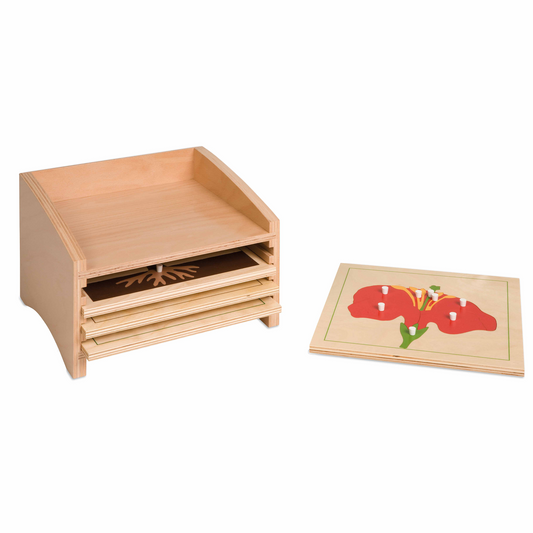 Storage cabinet for botanical puzzles - Nienhuis AMI