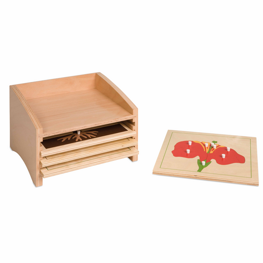 Cabinet de rangement des puzzles botaniques - Nienhuis AMI