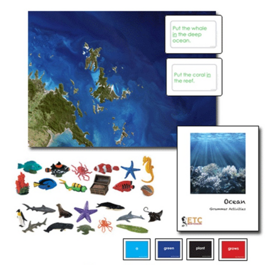 Ocean grammar activities (in English) - Nienhuis AMI