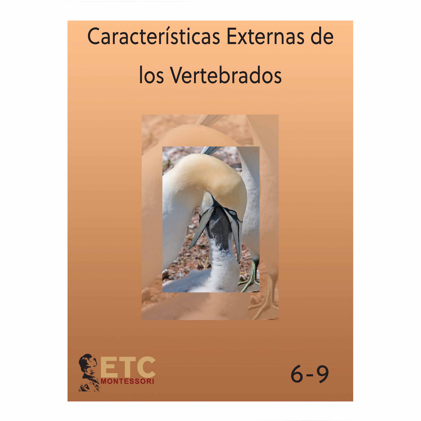 Características Externas de los Vertebrados - espagnol - Nienhuis AMI