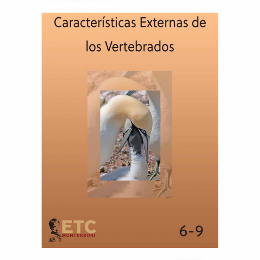 Características Externas de los Vertebrados – Spanisch – Nienhuis AMI