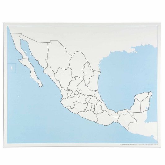Carte de contrôle muette du Mexique - Nienhuis AMI