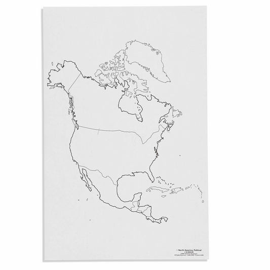 Carte des états d'Amérique du Nord x 50 - Nienhuis AMI