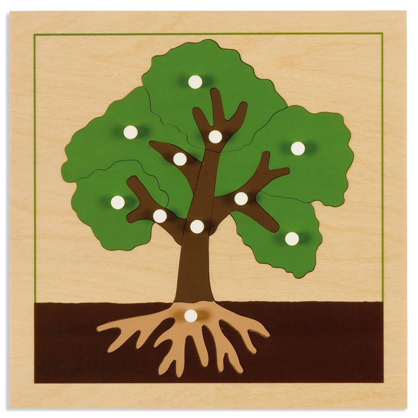 Botanisches Puzzle: Baum - Nienhuis AMI