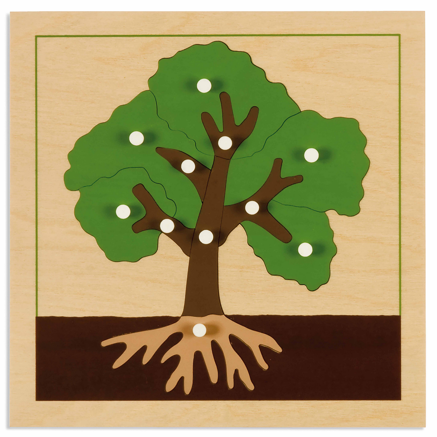 Puzzle de botanique : Arbre - Nienhuis AMI