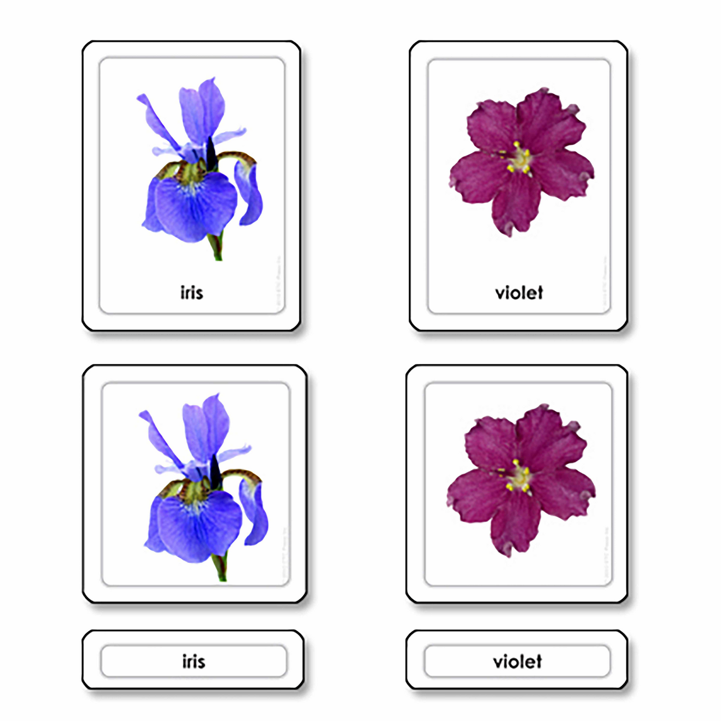 Cartes à 3 volets "Fleurs" (en anglais) - Nienhuis AMI