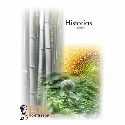 Historias de Plantas - Nienhuis AMI